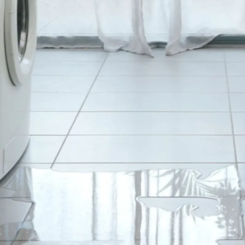 Appliance Leak Cleanup in Simpsonville, SC