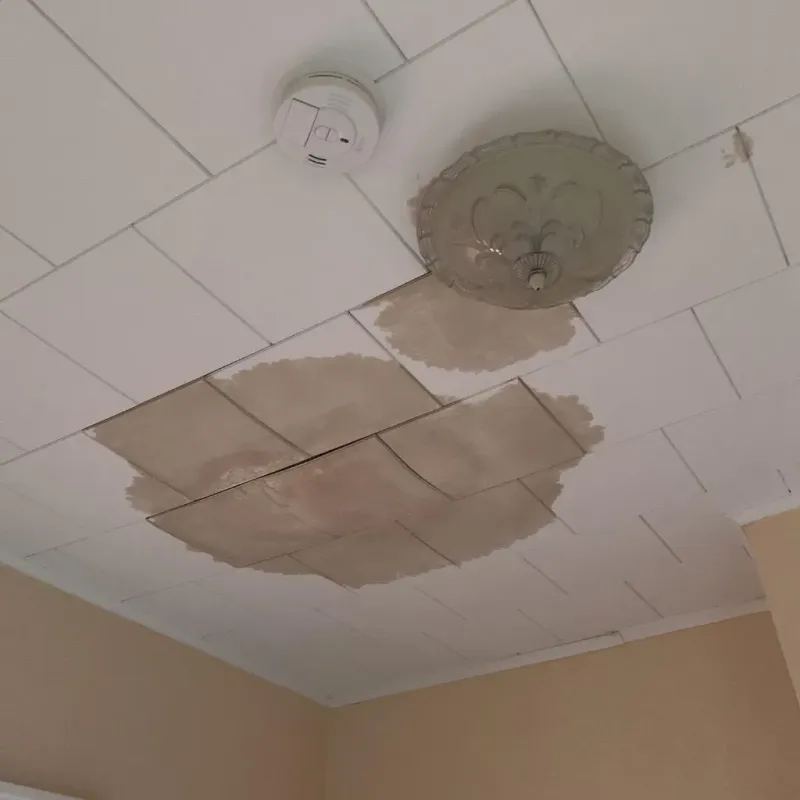 Ceiling Water Damage Repair in Simpsonville, SC