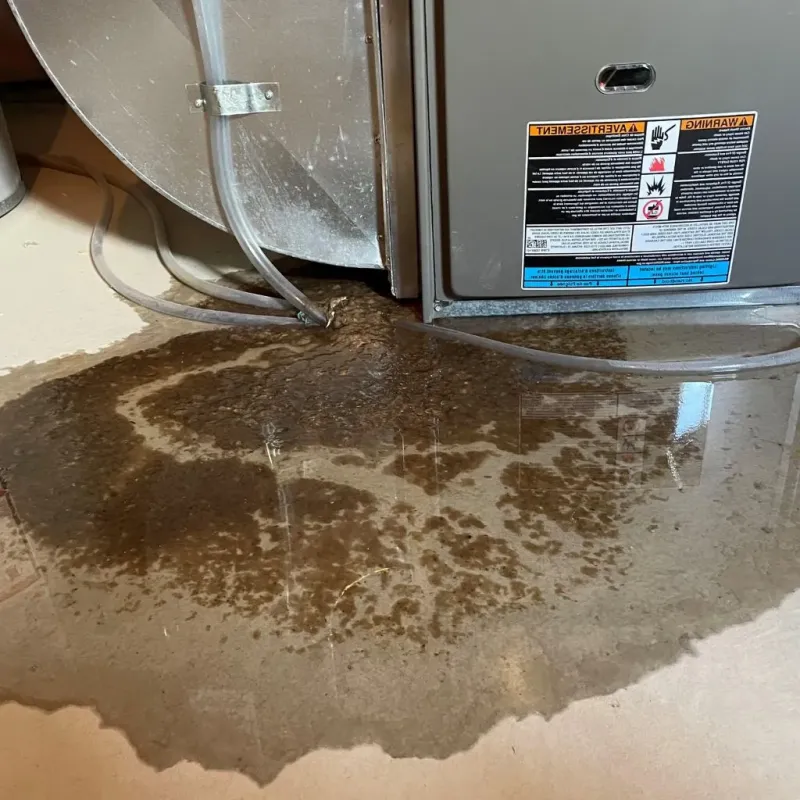 Pipe Burst and Leak Restoration in Simpsonville, SC